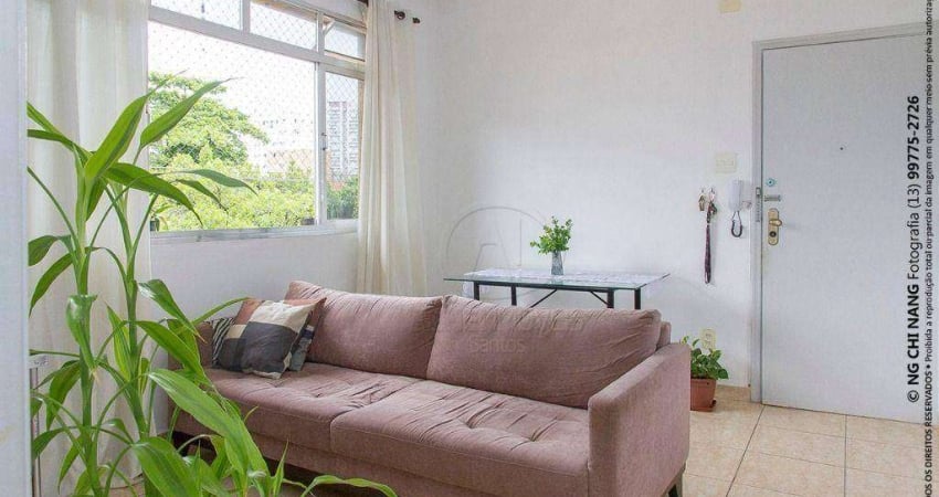 Apartamento com 2 quartos para alugar no Marapé, Santos 