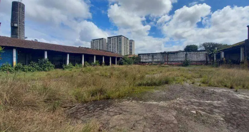Terreno para alugar, 4000 m² por r$ 65.000,02/mês - macuco - santos/sp
