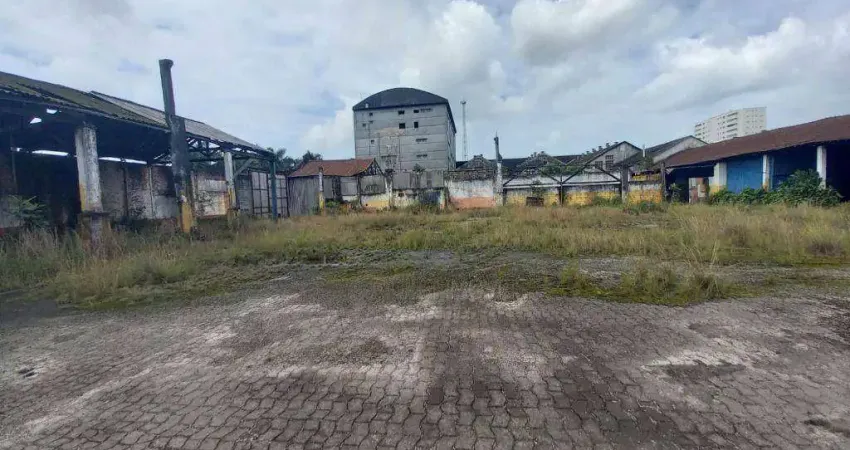 Terreno para alugar, 4000 m² por R$ 65.000,02/mês - Macuco - Santos/SP
