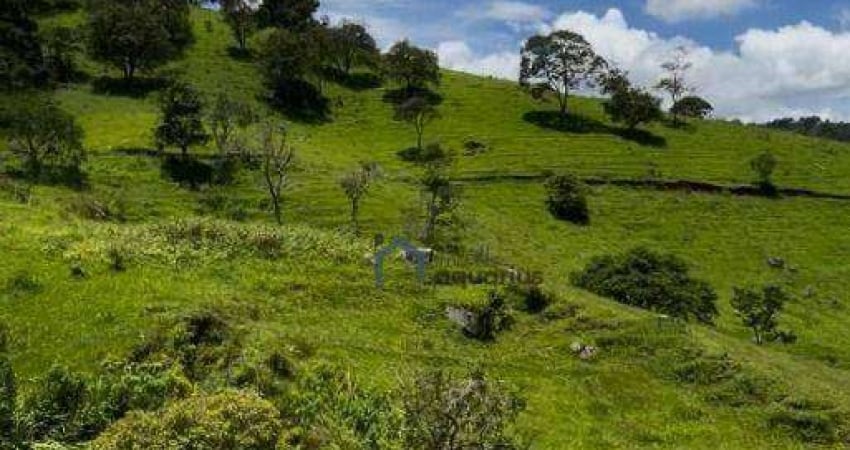 Área à venda, 193600 m² por R$ 1.500.000,00 - Bairro do Paiol Velho - São Bento do Sapucaí/SP