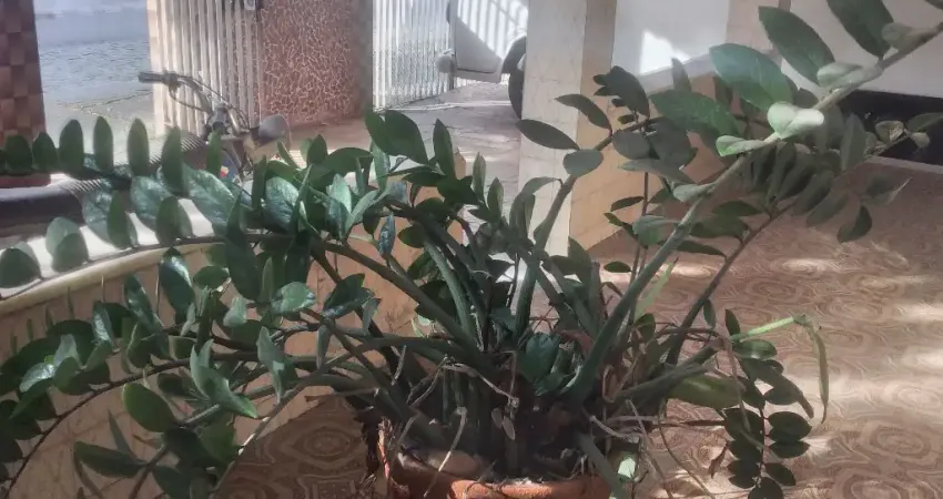 Vendo Casa independente,  Centro Miguel Couto, Nova Iguaçu/RJ.
