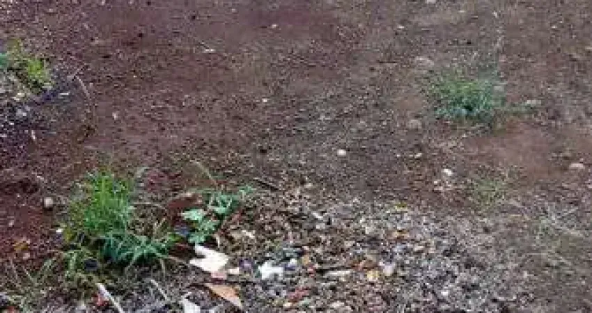 Terreno à venda na Rua Mitsuko Kikuta, 500, Colinas, Londrina