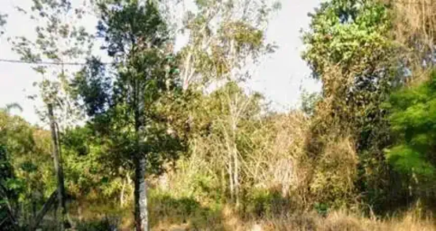 Terreno à venda, 115000 m² por R$ 5.300.000,00 - Vila Partenio - Mogi das Cruzes/SP