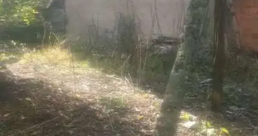 Casa com 1 quarto à venda no Jardim Ikeda, Suzano 