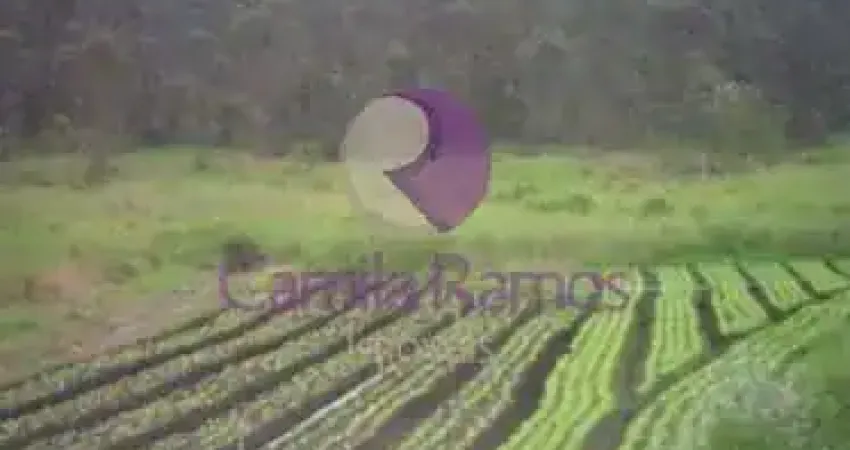 Área Comercial à venda, Vila Aparecida, Suzano - AR0023.