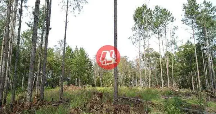 Terreno de grande porte – 3,59 ha – avenida joão antônio silveira, restinga – porto alegre