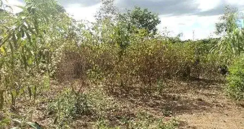 Terreno à venda, 525 m² por R$ 550.000,00 - Céu Azul - Belo Horizonte/MG