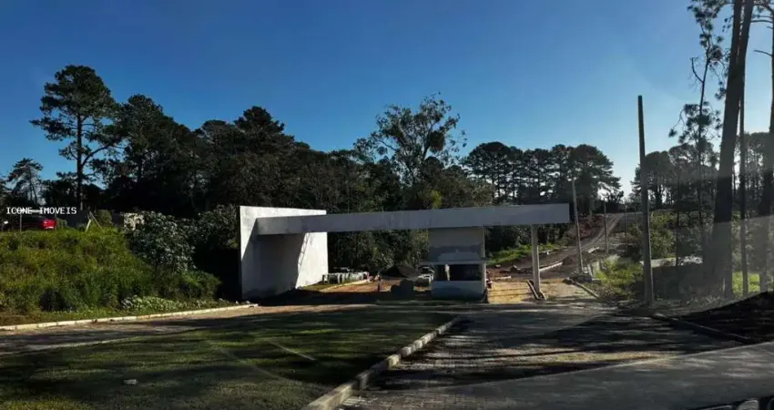 Terreno à venda na Rodovia Tapir Rocha, 6490, São Lucas, Viamão