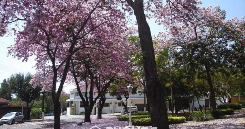 Terreno comercial à venda em Paulínia-SP, bairro João Aranha, 253m² - Ótima oportunidade de investimento!