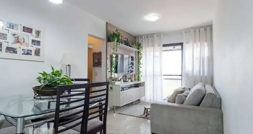 Apartamento à Venda - Vila Mascote, 2 Quartos,  59 m2