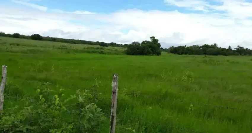 Fazenda à venda na ITAPICURU, Centro, Itapicuru