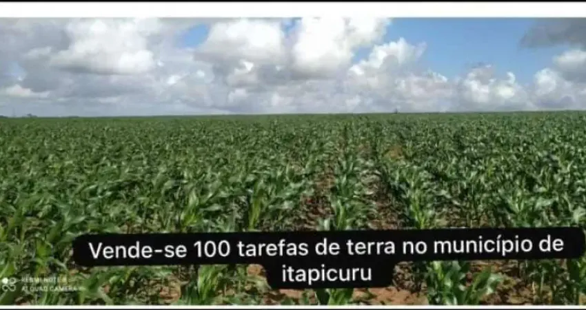Fazenda à venda na ITAPICURU, Centro, Itapicuru