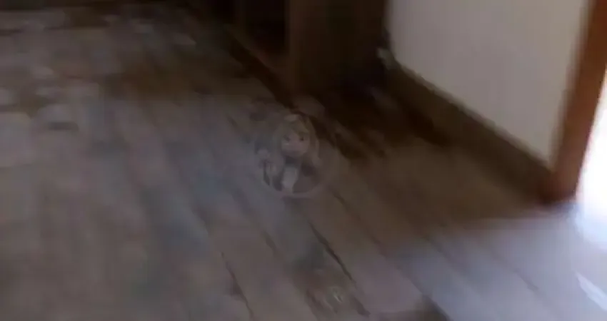 Loja comercial para venda em santos, gonzaga, 1 dormitório, 1 banheiro