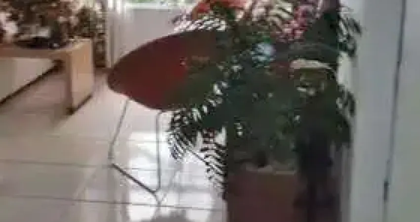 Apartamento para venda em são vicente, catiapoa, 2 dormitórios, 1 banheiro, 1 vaga