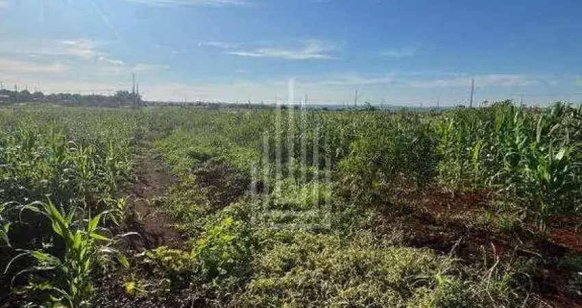 Terreno à venda na Avenida Nossa Senhora do Carmo, Caramuru, Itaipulândia