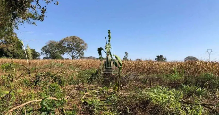Chácara / sítio à venda no Centro, Santa Terezinha de Itaipu