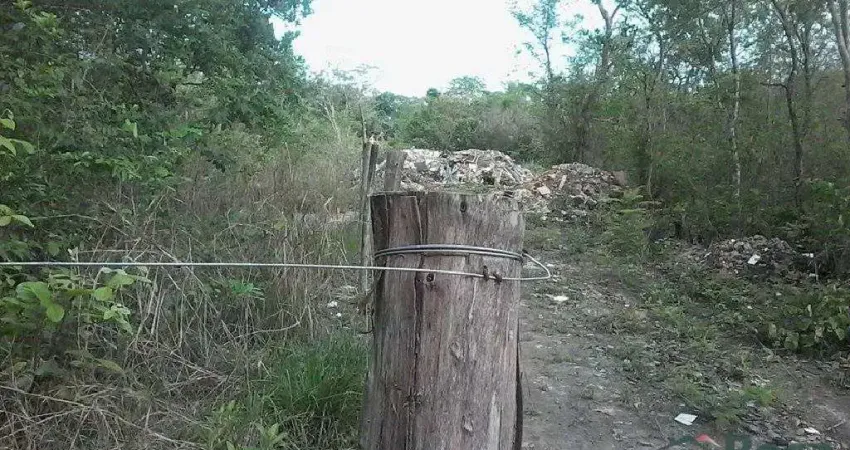 De 2.500.000,00 por R$1980000 CHÁCARA / SITIO para venda RECANTO PAIAGUAS Cuiabá - 24237