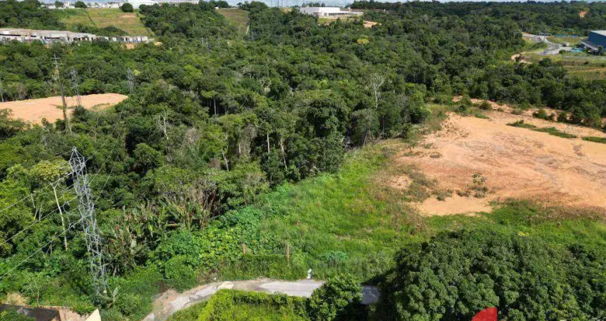 Terreno à venda, 58000 m² por R$ 12.000.000,00 - Distrito Industrial - Manaus/AM