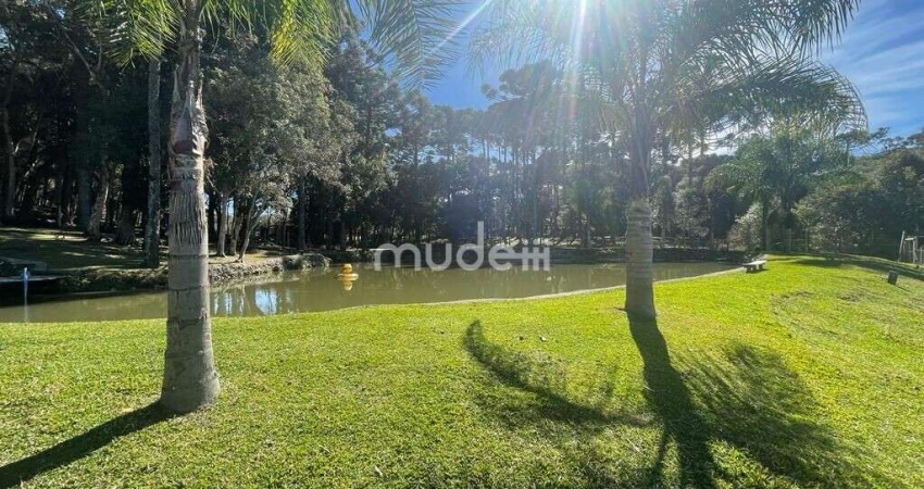 Chácara à venda no bairro Roça Velha - São José dos Pinhais/PR