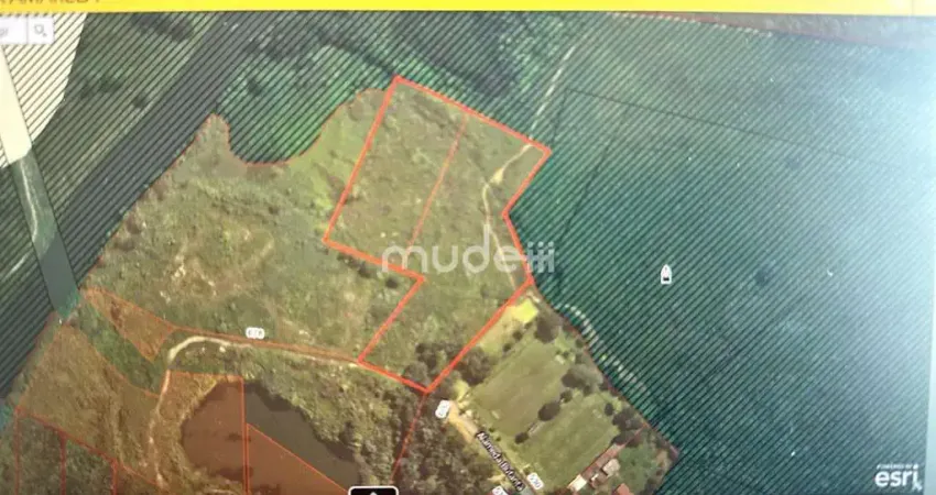 Terreno à venda na Alameda Butantã, S/n, Colônia Rio Grande, São José dos Pinhais