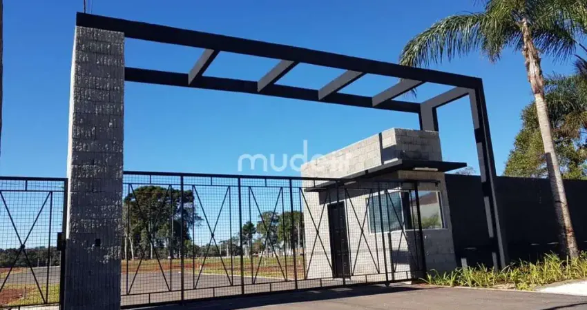 Terreno à venda na Rua Antônio Singer, 4689, Campo Largo da Roseira, São José dos Pinhais