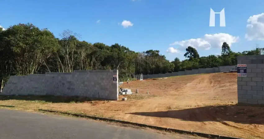 Terreno à venda, 390 m² por R$ 410.000,00 - Vila Delurdes - Campo Largo/PR