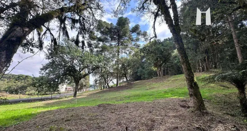 Terreno à venda, 3796 m² por R$ 399.990,00 - Botiatuva - Campo Largo/PR