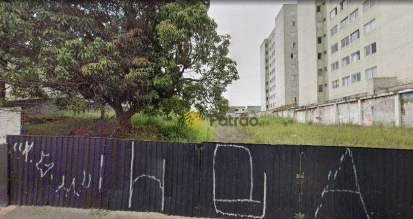 Terreno comercial para alugar na Avenida Alfredo Maluf, Vila Alto de Santo André, Santo André