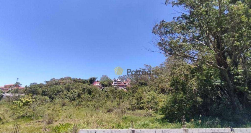 Lote/Terreno em Cooperativa