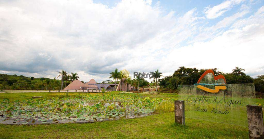 Lote/Terreno em Espelho D água
