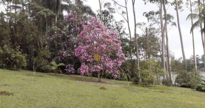 Chácara em Dos Finco
