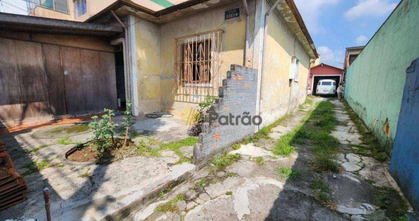 Lote/Terreno em Ferrazópolis