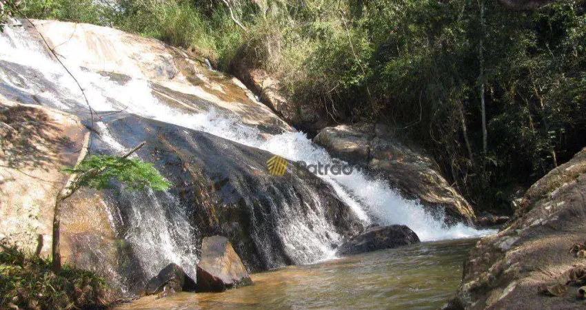 Área à venda, 650000 m² por r$ 3.500.000,00 - bonfim - aparecida/sp