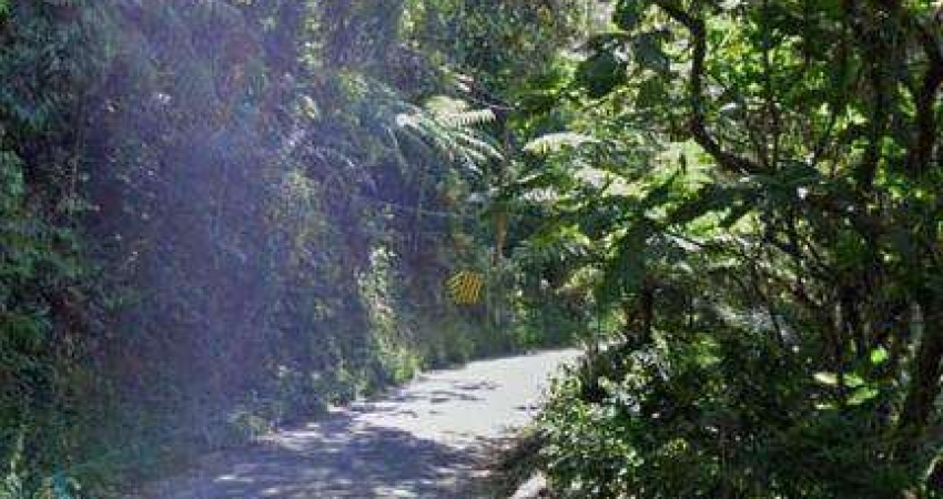 Lote/Terreno em Riacho Grande