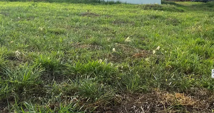 Terreno à venda na Rua Capitão José Luciano de Andrade, Bonfim Paulista, Ribeirão Preto