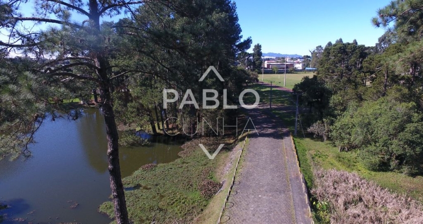 Terreno comercial à venda no Ouro Fino, São José dos Pinhais 