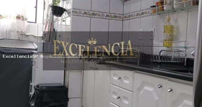 Apartamento para Locação em São Paulo, Vila Carbone, 3 dormitórios, 1 vaga