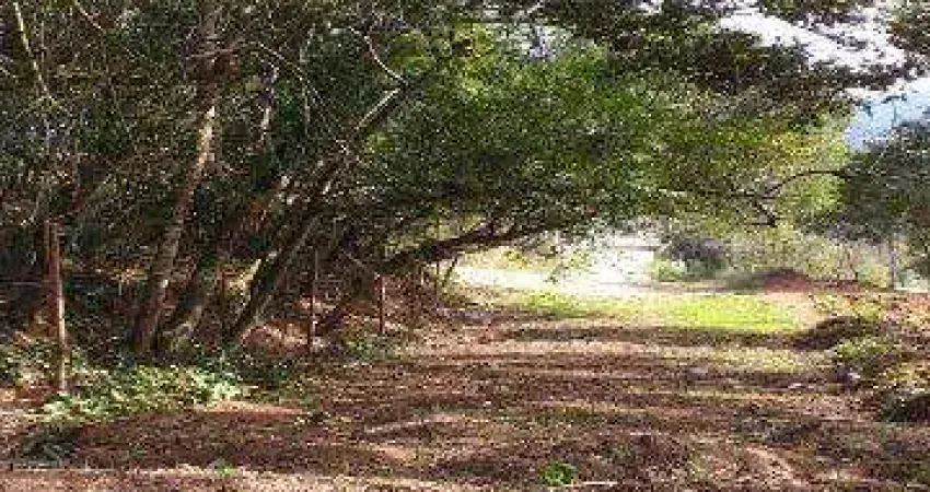 Venda de chácara no jardim são luís, em suzano/sp, oportunidade com 7.646m², 20m de frente e todas as unidades tem acesso ao riacho! consulte-nos.