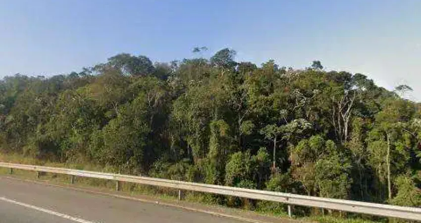 Venda de área na rodovia pedro eroles, em mogi das cruzes/sp, oportunidade de investimento com 5,6 halqueres, 56.898m². consulte-nos.