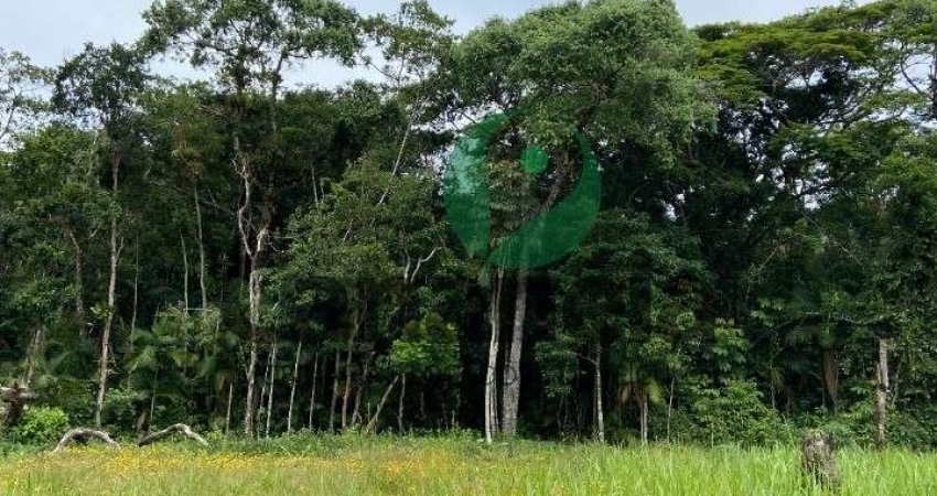 Terreno para venda com 380,88m² no Reserva da Mata - Cananéia/SP