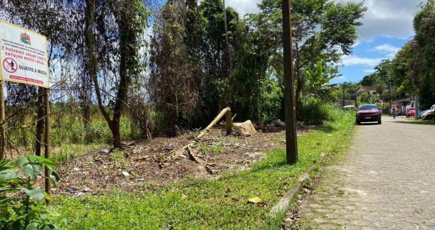 Terreno à venda na Rua Clodoveu José de Lima, Morro São João, Cananéia