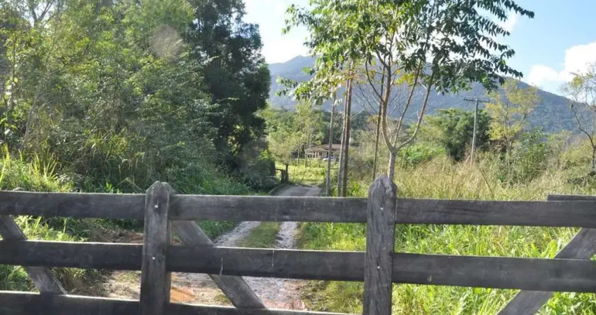 Fazenda Sítio Grande - bairro Iririaia - Cananéia / SP (294,64 alqueires)