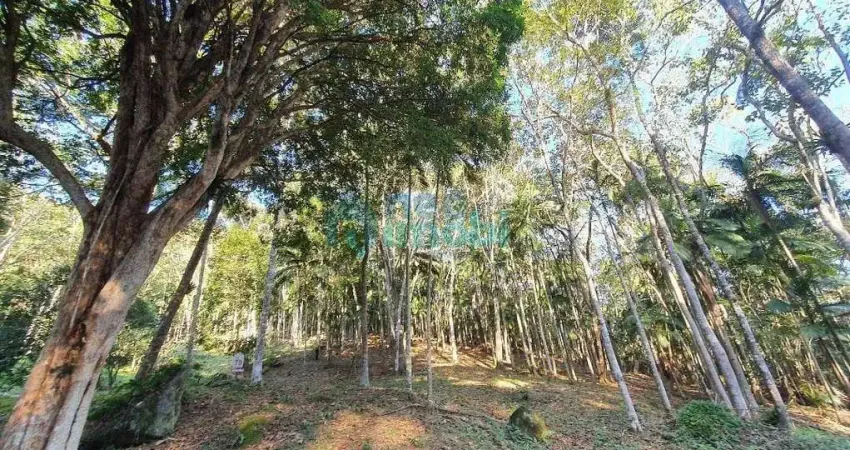 Terreno à venda na Rua Geral Da Varginha, Varginha, Santo Amaro da Imperatriz