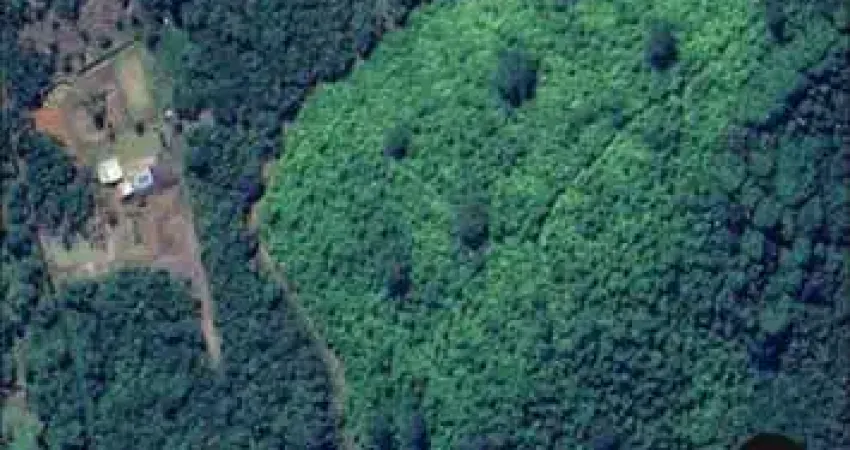 Fazenda à venda no Centro, Antonina 
