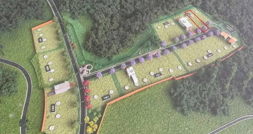 TERRENO com fundos para o Bosque no Alphaville Paraná  Campo Largo