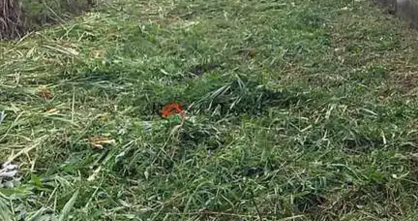 Terreno à venda no Cibratel II, Itanhaém 