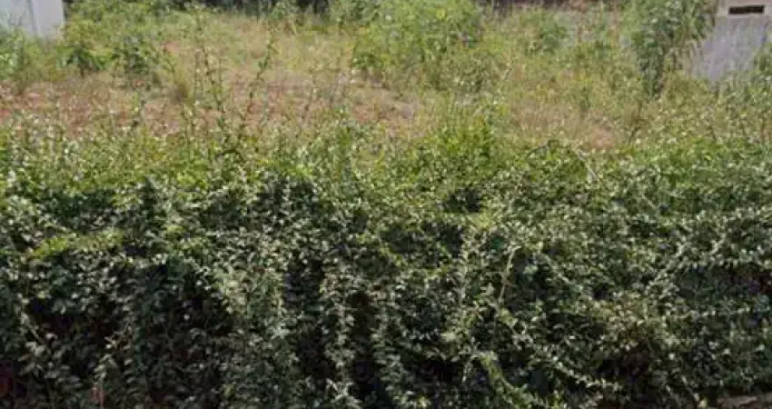 Terreno à venda na Rua São Pedro, 1106, Centro, Itambé