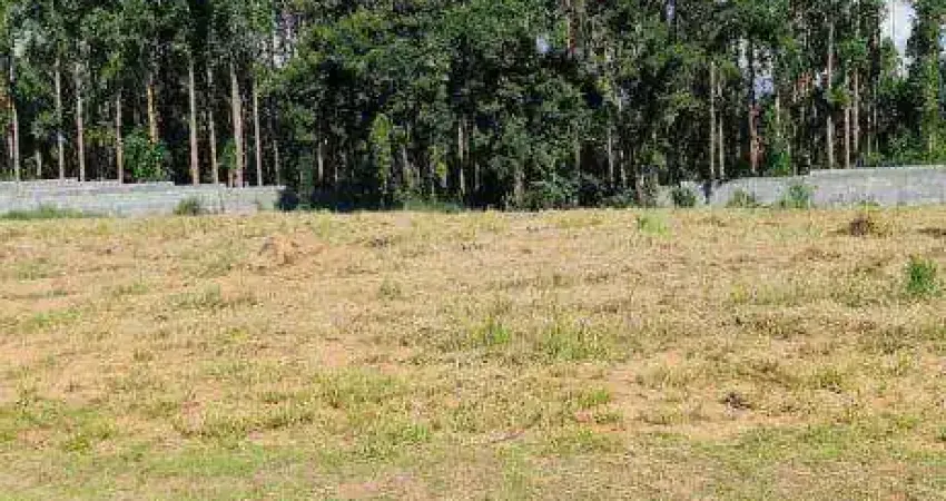 Terreno à venda, 1000 m² por R$ 276.500,00 - Condomínio Reserva São José - Salto de Pirapora/SP