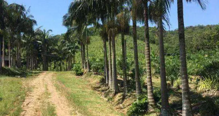 Fazenda com à venda, 4822600 m² por R$ 7.900.000 - Área Rural - Morretes/PR