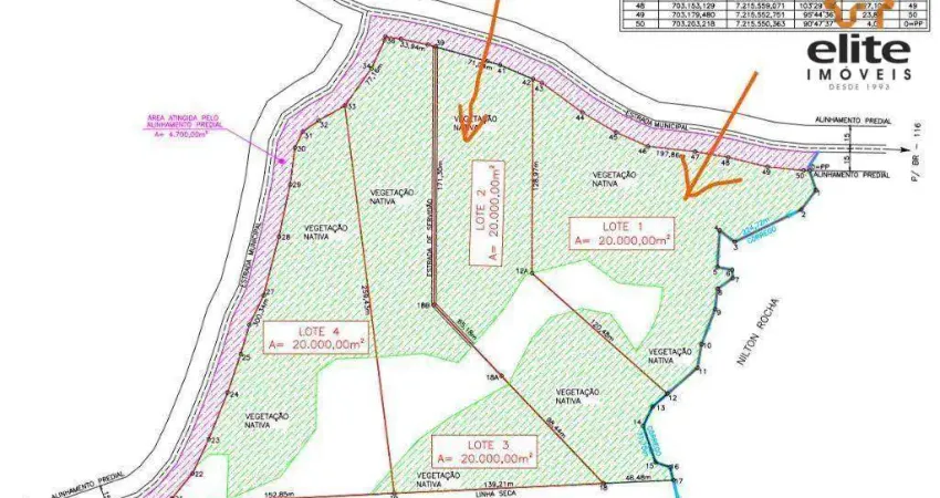 Chácara à venda, 20000 m² por R$ 200.000,00 - Zona Rural - Bocaiúva do Sul/PR